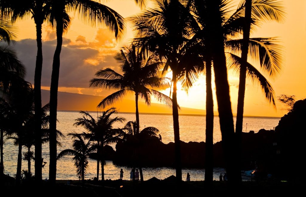 Reiser til Hawaii