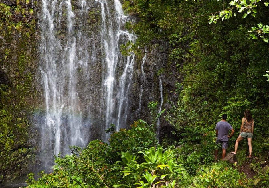Bryllupsreise på Hawaii 3 Bryllupsreise på Hawaii 3
