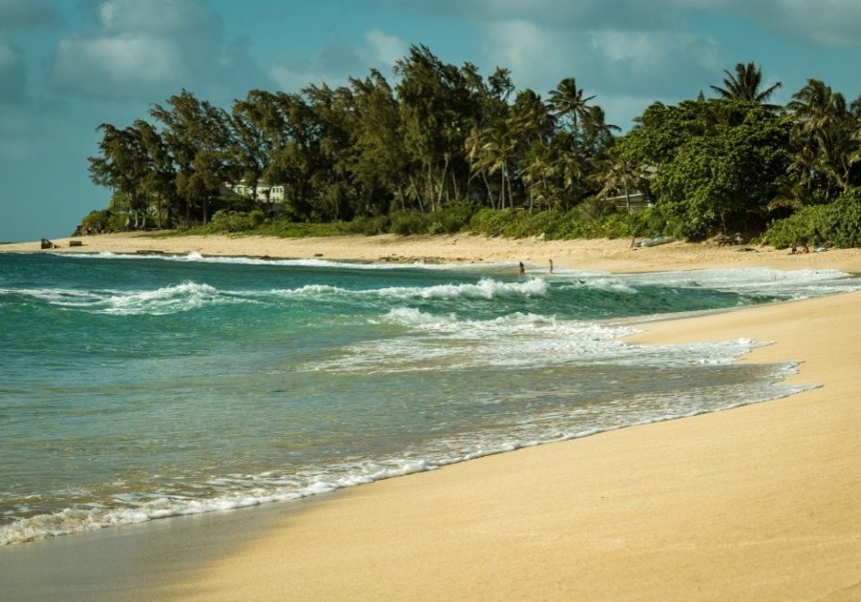 reiser USA, reiser hawaii, reiser honolulu, reiser oahu, reiser maui, reiser big island, reiser kauai, reiser molokai, skreddersydde reiser, pakkereiser